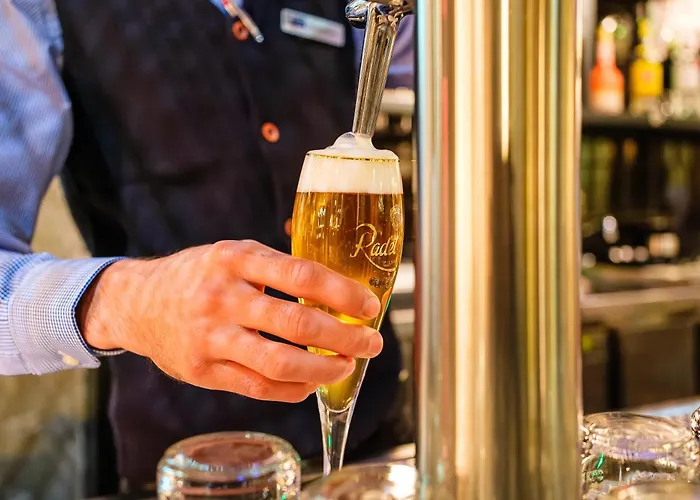 Express Zentrum By Ihg Hotel Dresda