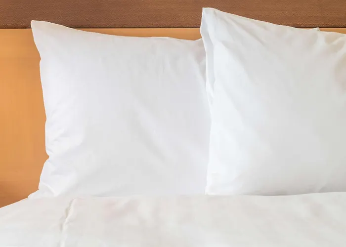 Hotel Express Zentrum By Ihg 3*