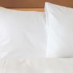 Hotel Express Zentrum By Ihg 3*